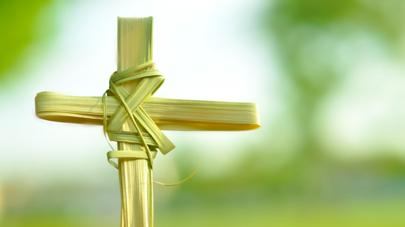 Reflection for Palm Sunday: